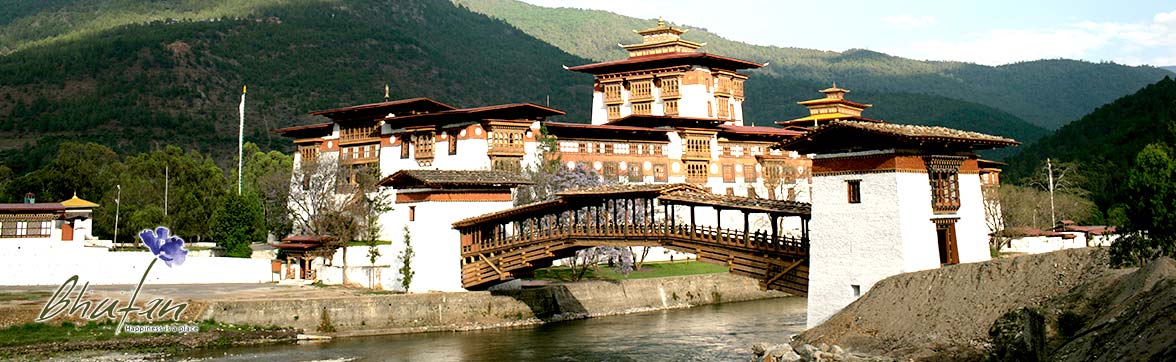 Glimpse of Bhutan Tour Bridge to Punakha Dzong