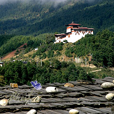 Jakar Dzong, Bumthang Jakar Dzong built in 1549 by the great grandfather of the first Shabdrung