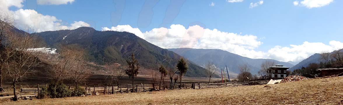 View of the Black-necked Crane Phojikha valley